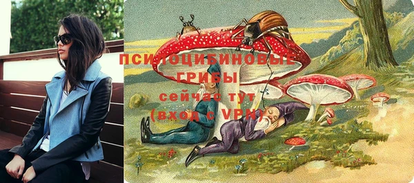 ГАЛЛЮЦИНОГЕННЫЕ ГРИБЫ Бикин